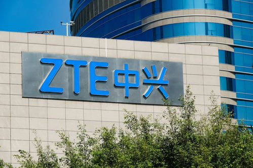 會(huì)員動(dòng)態(tài) 會(huì)員服務(wù) 中國電子商會(huì)