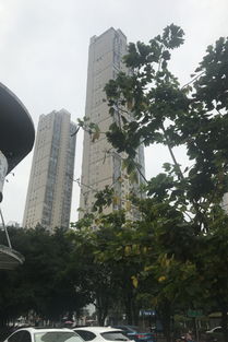 世茂茶亭臻園綜合評(píng)析：優(yōu)點(diǎn)、不足及周邊中介評(píng)價(jià)